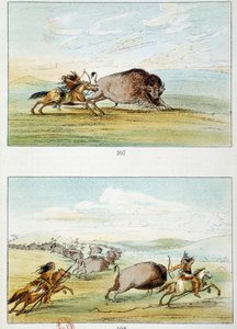 Amerikanische Indianer: Bisonjagd. Illustration von George Catlin (1794-1872)