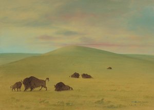 Amerikanische Weide - Prärien des Platte, 1861-1869 von George Catlin