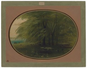Ein indisches Dorf - Ufer des Amazonas