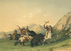 Angriff auf den Grizzlybären von George Catlin