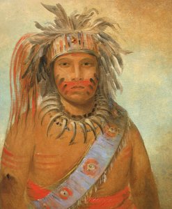 Au-nim-muck-kwa-um, Sturmvogel von George Catlin