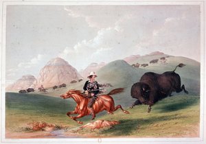 Bisonjagd in Nordamerika - Lithografie von Georges Catlin von George Catlin