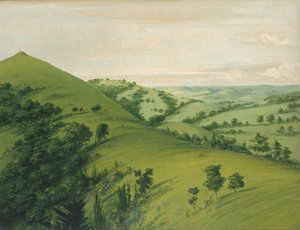 Grab des Amsels, Rückansicht, Prärien mit Blumen geschmückt, 1832 von George Catlin