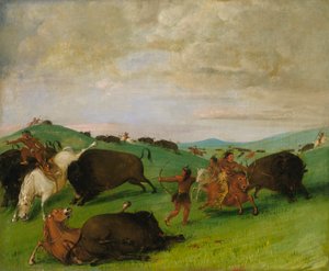 Büffeljagd, Bullen kämpfen mit Männern und Pferden von George Catlin