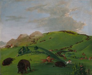 Büffeljagd, Mündung des Yellowstone