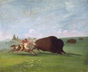 Büffeljagd, ein einzelner Tod