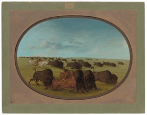 Büffeljagd mit Unfällen von George Catlin