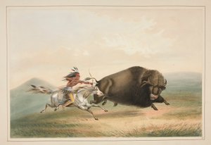 Büffeljagd, Verfolgung, Tafel 5 aus dem Nordamerikanischen Indianer-Portfolio von George Catlin