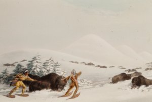 Büffeljagd auf Schneeschuhen von George Catlin