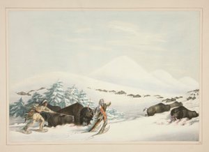 Büffeljagd auf Schneeschuhen, pl. 15 aus dem Nordamerikanischen Indianer-Portfolio