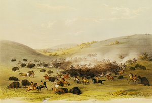 Büffeljagd, Umzingelung, ca. 1832