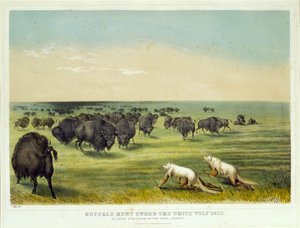 Büffeljagd unter der weißen Wolfshaut von George Catlin