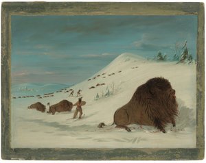 Büffel Lancing im Schneetreiben - Sioux
