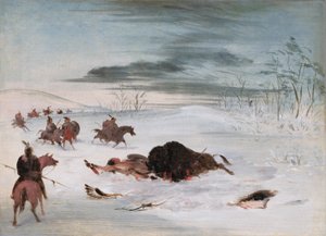 Sterbender Büffel in einer Schneeverwehung von George Catlin