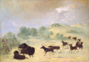 Elch und Büffel machen Bekanntschaft, Texas von George Catlin