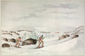 Büffeljagd auf Schneeschuhen von George Catlin