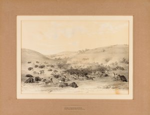 Indianer umzingeln Büffel - Nr. 9 von George Catlin