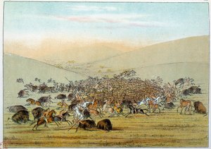Indianer Amerikas: Indianer jagen Büffel mit Speeren. Illustration von George Catlin (1794-1872) von George Catlin
