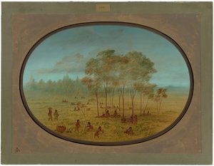 Kiowa-Indianer sammeln wilde Trauben von George Catlin