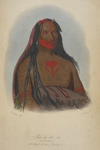 Mah-to-toh-pa (die vier Bären), 2. Häuptling der Mandan von George Catlin