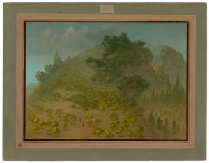 Rhododendron-Berg von George Catlin