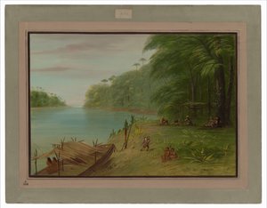 Küste des Essequibo