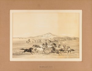 Wilde Pferde beim Spielen--Nr. 3 von George Catlin