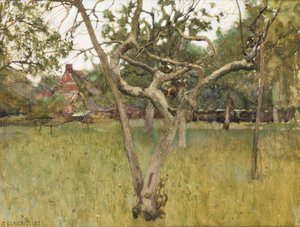 Ein Obstgarten