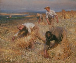 Garben binden