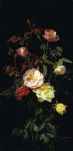 Rosen