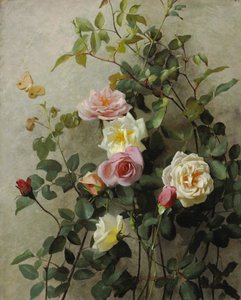 Rosen an einer Wand, 1877 von George Cochran Lambdin