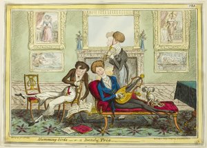 Kolibris oder Ein Dandy-Trio
