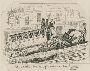 Die Omnibus-Bruten ... welche sind sie