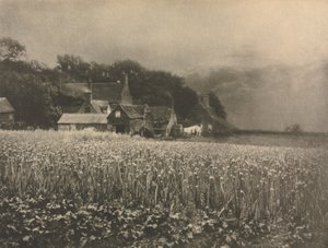 Camera Work: Das Zwiebel-Feld - 1890, 1890 von George Davison