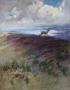 Illustration für Die Geschichte eines Rothirsches