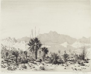 Eine Fata Morgana, Arizona