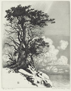 Küste bei Monterey, Kalifornien von George Elbert Burr