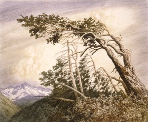 Heimat der Winde [Nr. 2]