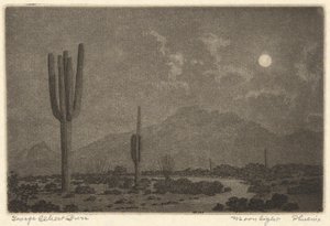 Mondlicht-Phönix von George Elbert Burr