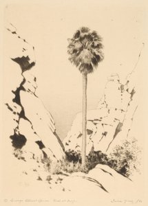 Palm Canyon (Nr. 1) von George Elbert Burr