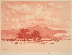 Palo Verde Bäume von George Elbert Burr