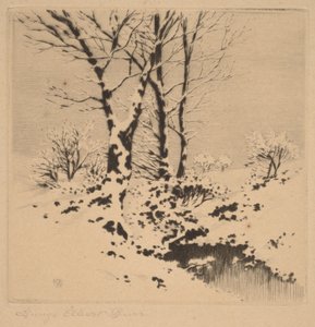 Schnee von George Elbert Burr