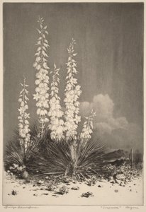  von George Elbert Burr