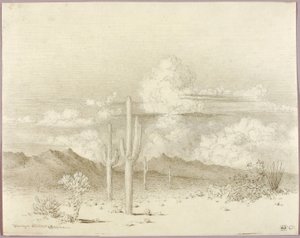 Ohne Titel (Übertragungszeichnung für Abend, Paradise Valley, Arizona) von George Elbert Burr