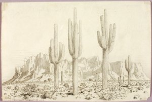 Ohne Titel von George Elbert Burr