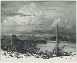 Verde River, Arizona von George Elbert Burr