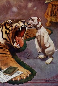 Tiger, Tiger - Hund bellt Tigerteppich an
