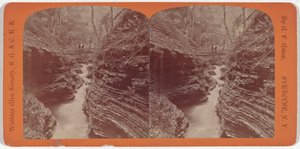 Watkins Glen Landschaft, Schatten-Schlucht