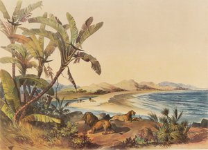Eine Reise zum Mündungsgebiet des Umvoti-Flusses in Natal