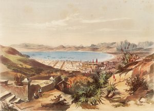 Kapstadt von George French Angas